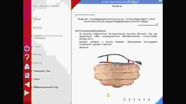 Графический дизайн