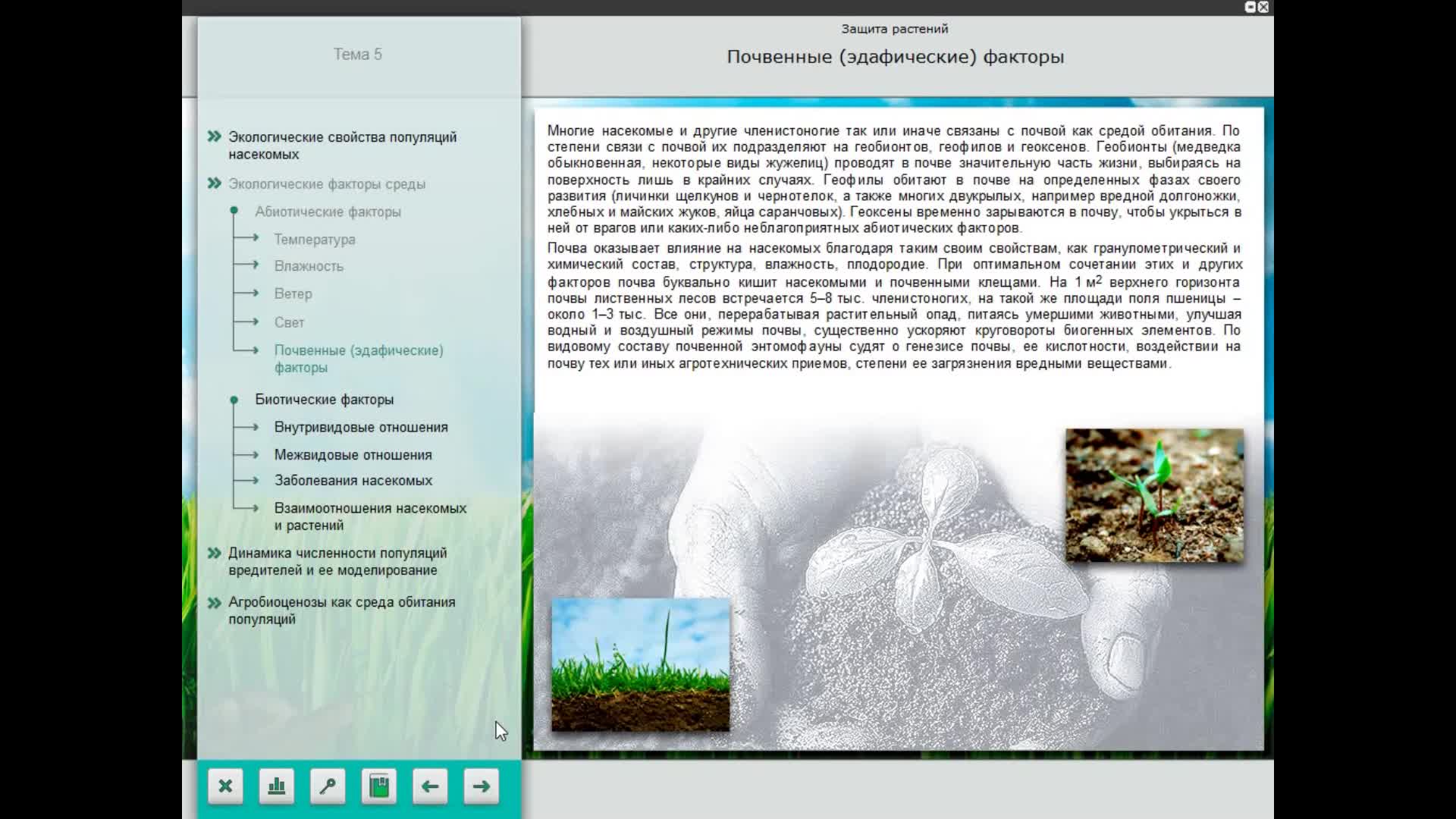 Защита растений