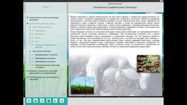 Защита растений